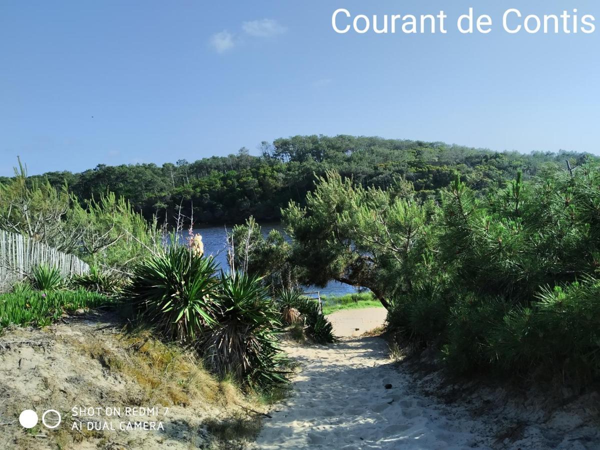 Chalet Camping Les Vignes ليت إت ميكسي المظهر الخارجي الصورة